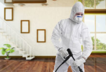 افضل شركة مكافحة حشرات في حلمية الزيتون