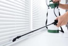 افضل شركة مكافحة حشرات في العبور