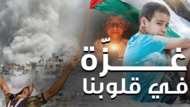 افضل جمعيات التبرع لفلسطين