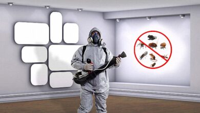 افضل شركة مكافحة حشرات في كفرالشيخ